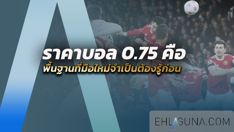 ราคาบอล 0.75 คือ อะไร พื้นฐานที่มือใหม่จำเป็นต้องรู้ก่อน