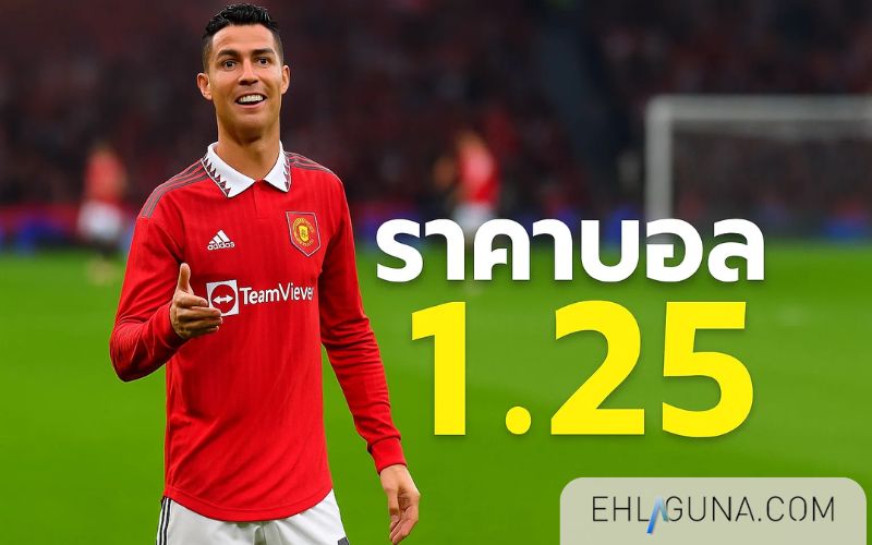 ราคาบอลแฮนดิแคป 1.25